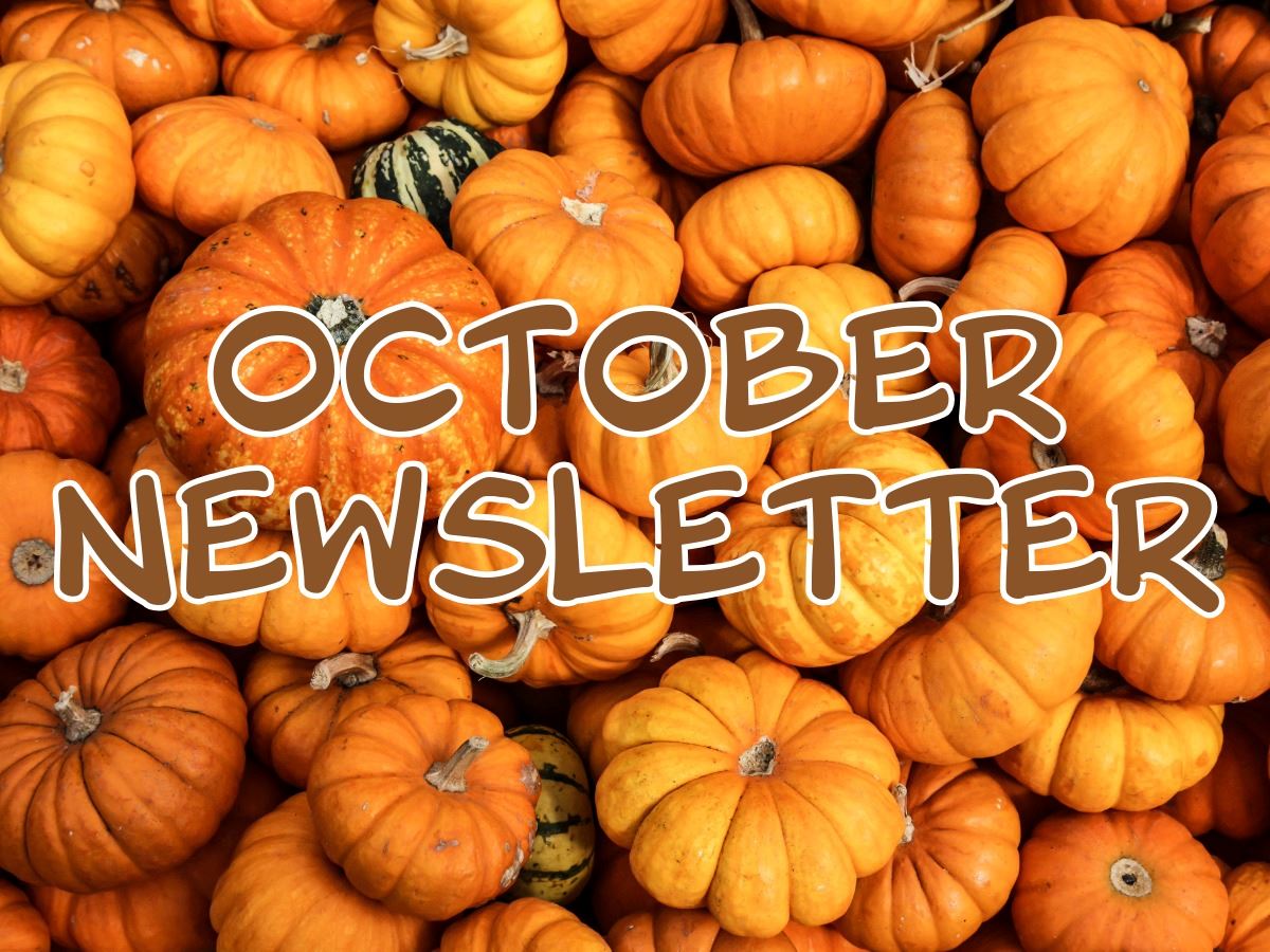 October Newsletter on background of pumpkins acorns and latte cups