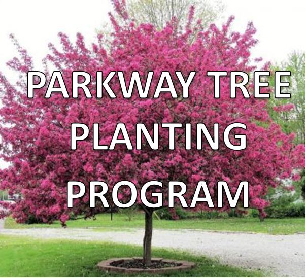 Parkway Tree Planting Program in white letters over a crab tree with pink flowers