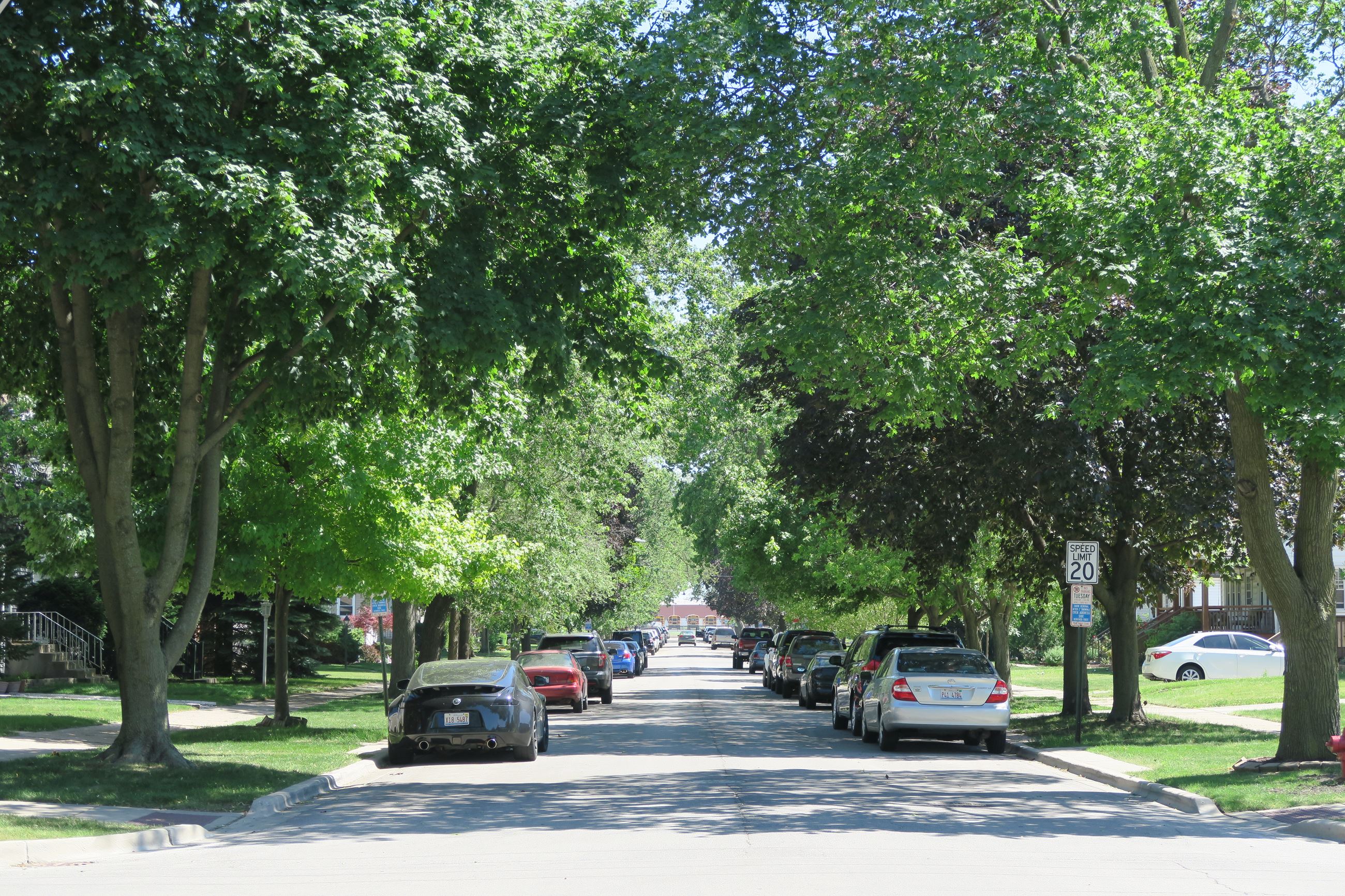 Shade covered street in summertime with cars parked along each side